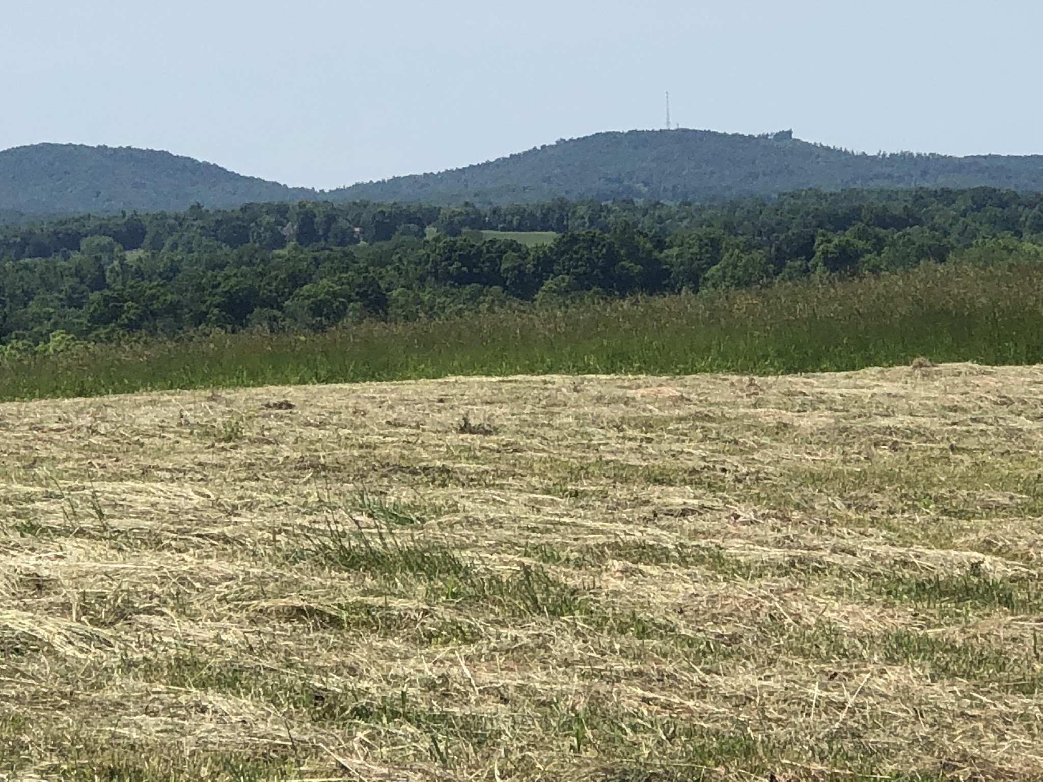 60 C Walleye Road Celina, TN 38551 - Photo 7 of 25 a view of a lake view and mountain view