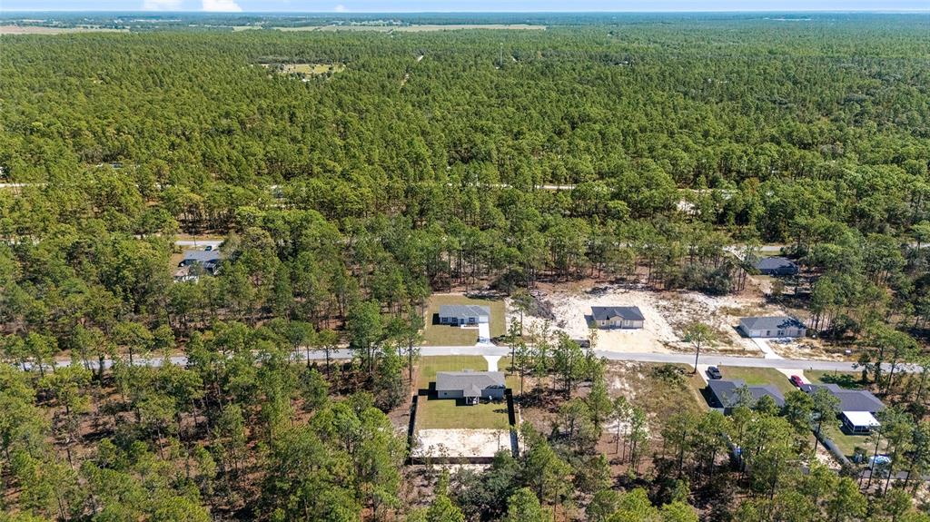 284 Southwest Commodore Road Dunnellon, FL 34431 - Photo 42 of 48 an aerial view of residential houses with outdoor space and trees
