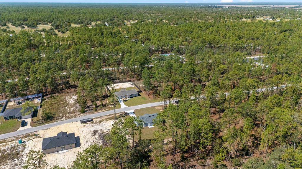 284 Southwest Commodore Road Dunnellon, FL 34431 - Photo 47 of 48 an aerial view of residential houses with outdoor space and trees