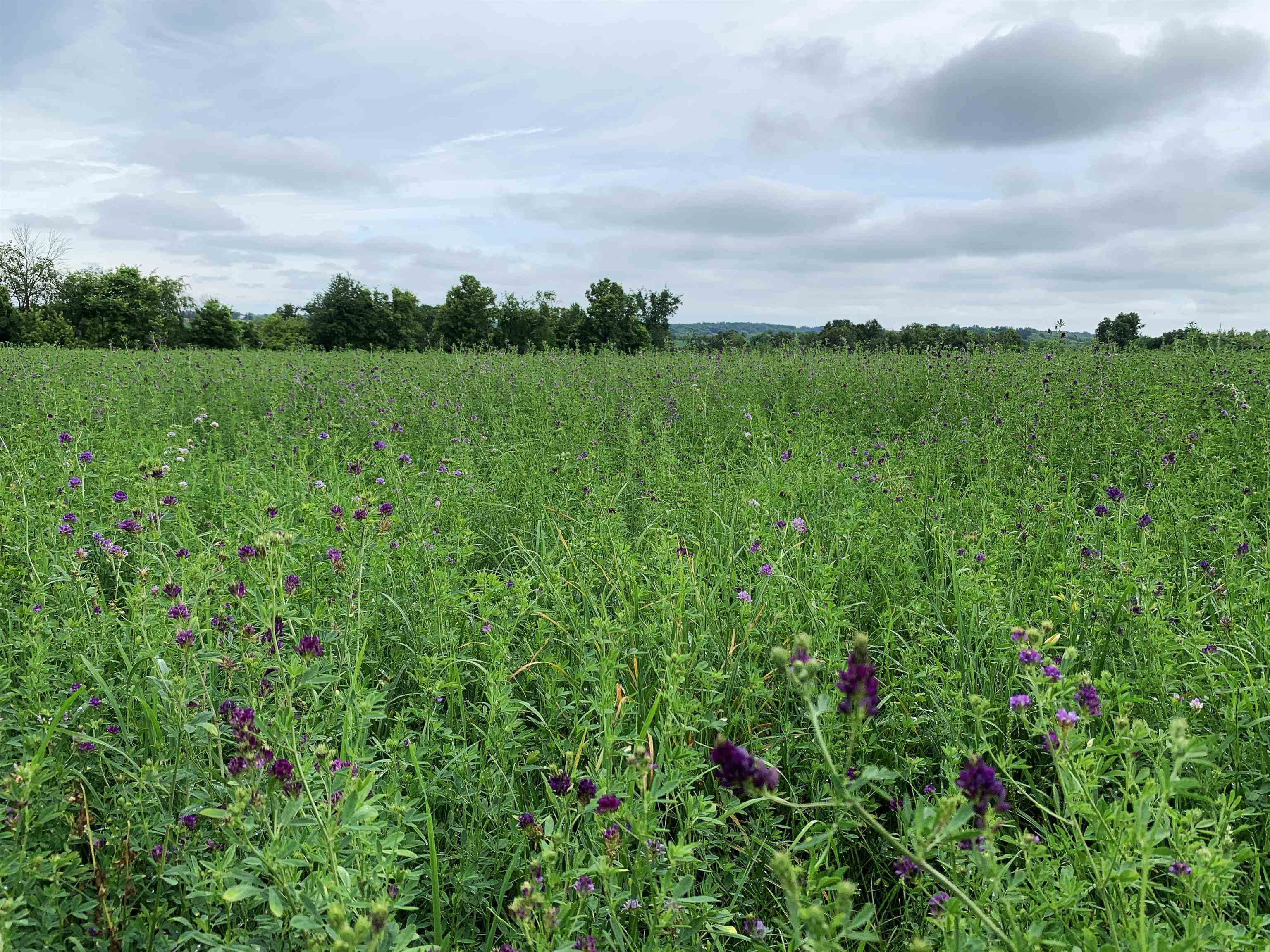 W11380 Ninabuck Road Columbus, WI 53925 - Photo 14 of 90