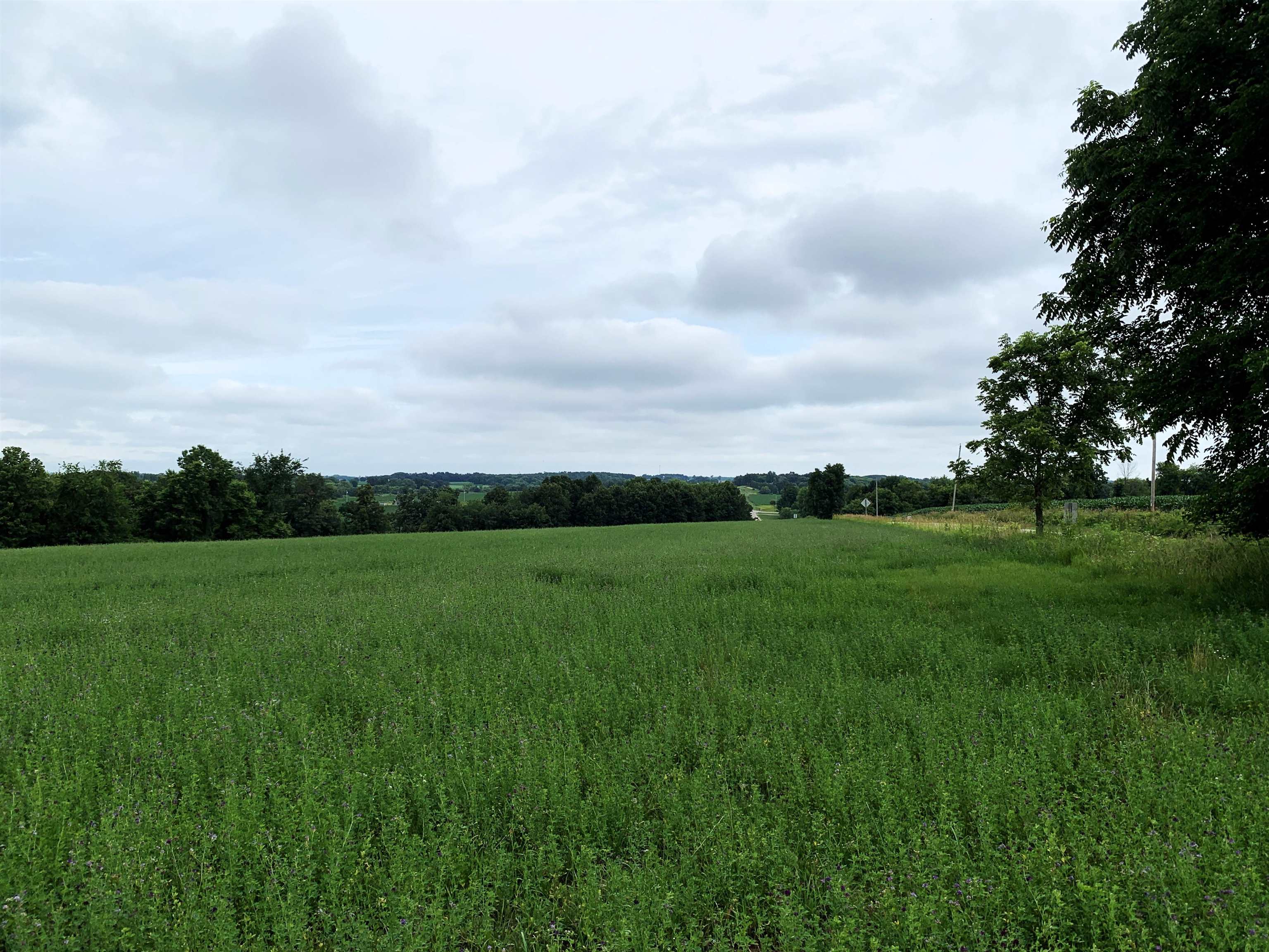 W11380 Ninabuck Road Columbus, WI 53925 - Photo 15 of 90