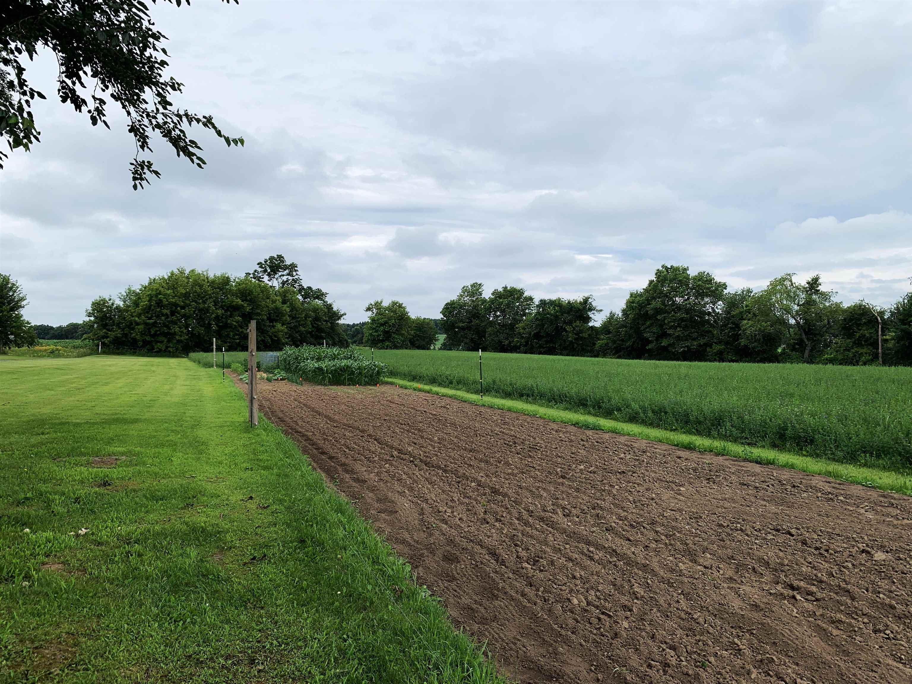 W11380 Ninabuck Road Columbus, WI 53925 - Photo 16 of 90