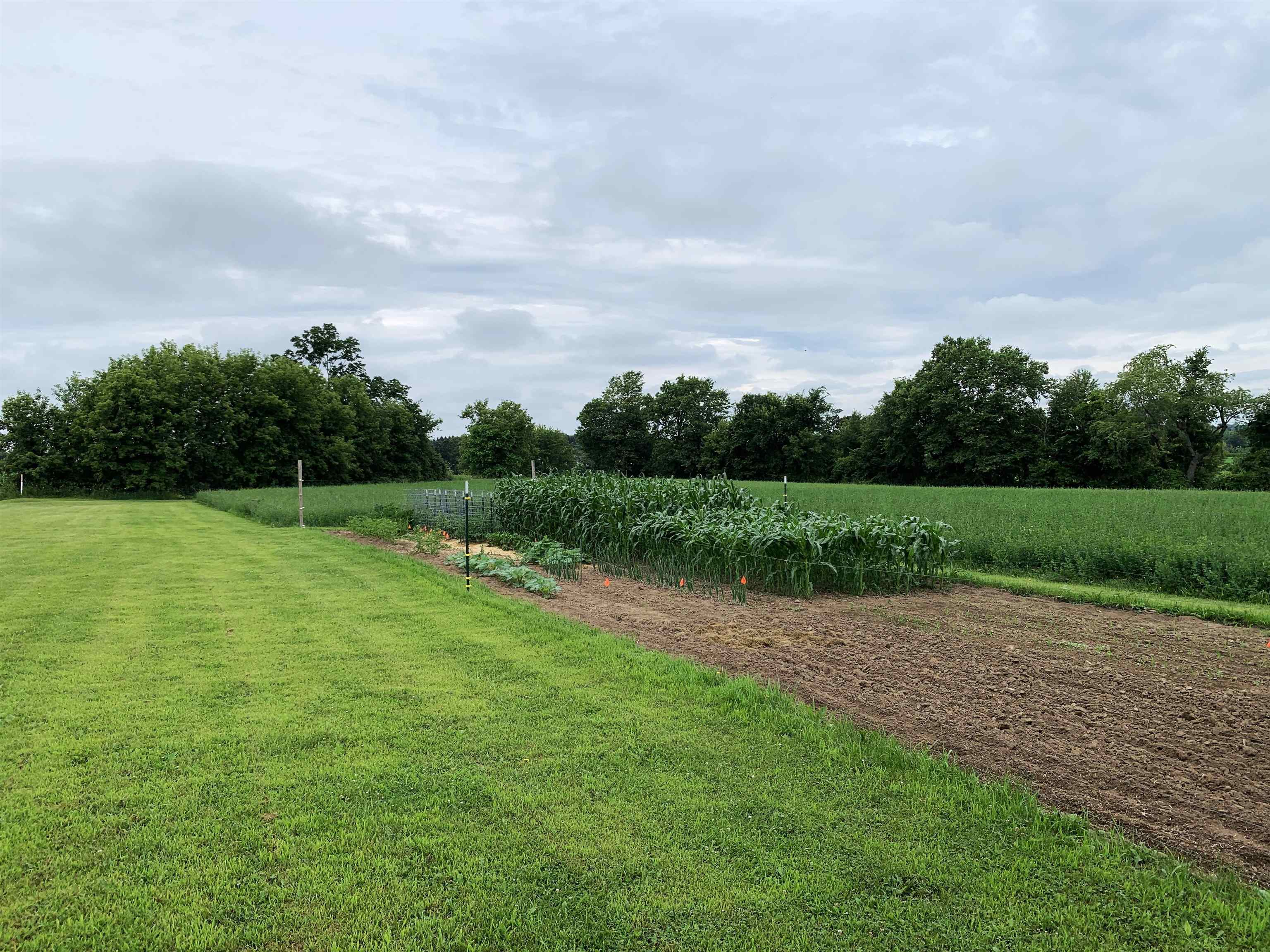 W11380 Ninabuck Road Columbus, WI 53925 - Photo 17 of 90