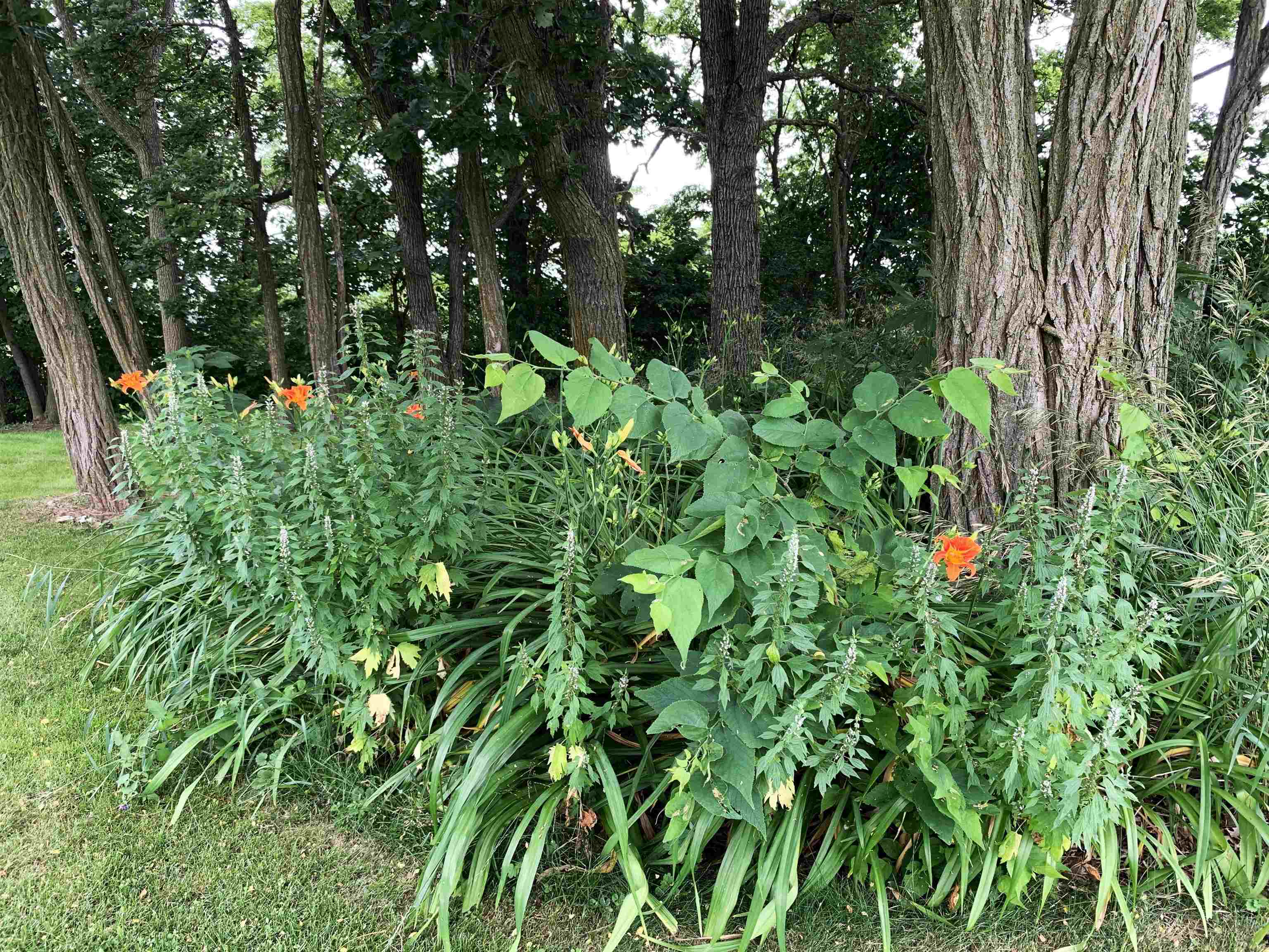 W11380 Ninabuck Road Columbus, WI 53925 - Photo 6 of 90