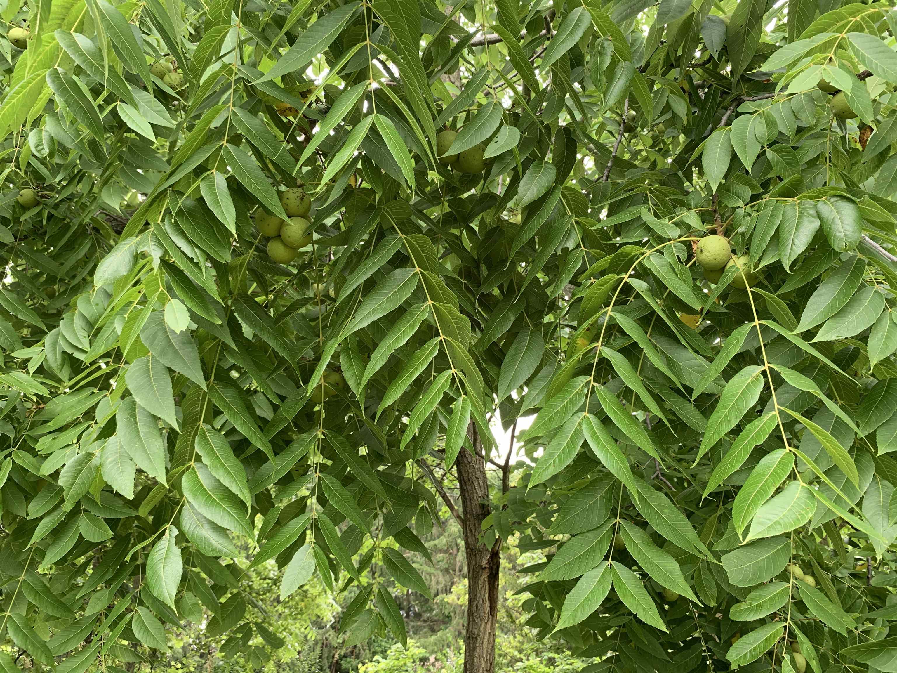 W11380 Ninabuck Road Columbus, WI 53925 - Photo 9 of 90