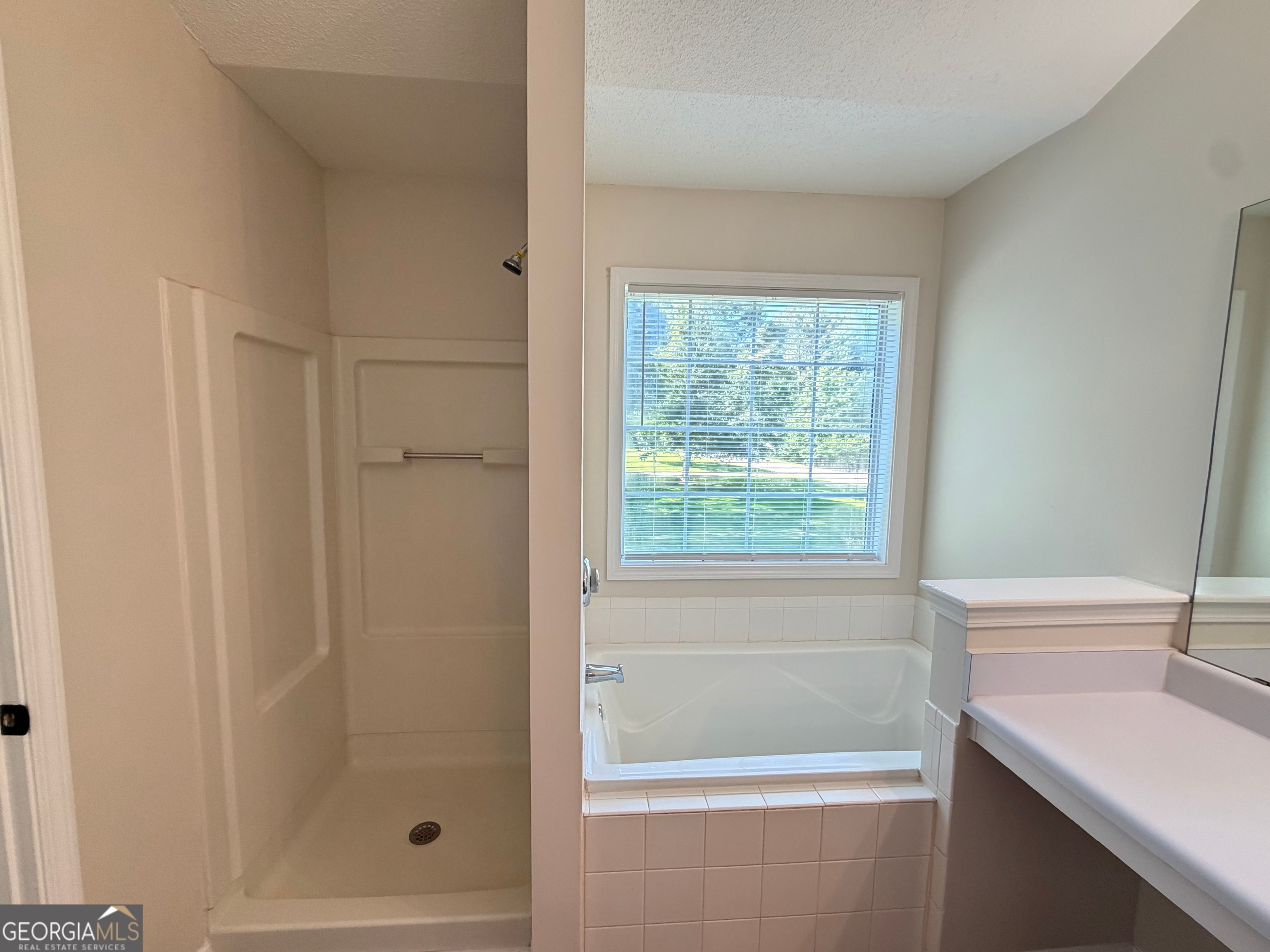 20 Red Mill Court Stockbridge, GA 30281 - Photo 20 of 41