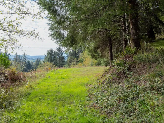 an aerial view of residential houses with outdoor space and trees