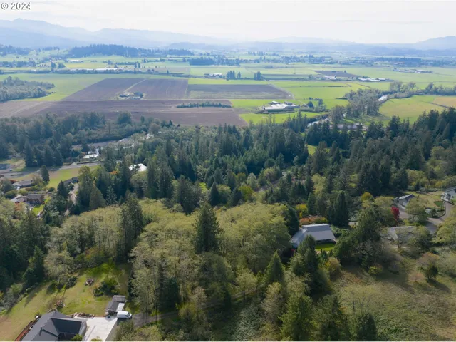 a view of city and mountain