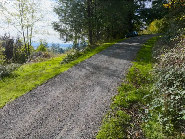 a view of a yard with plants and trees