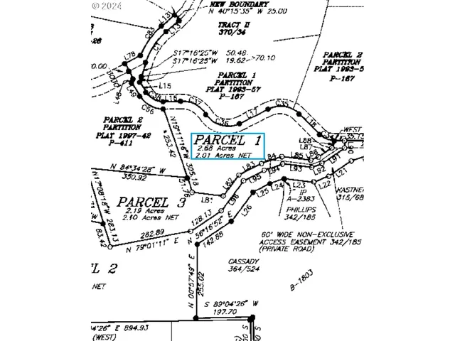 a view of a yard with plants and large trees