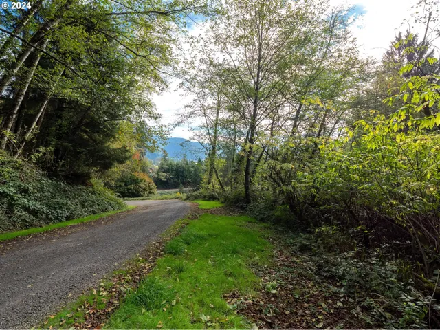 a view of yard with green space