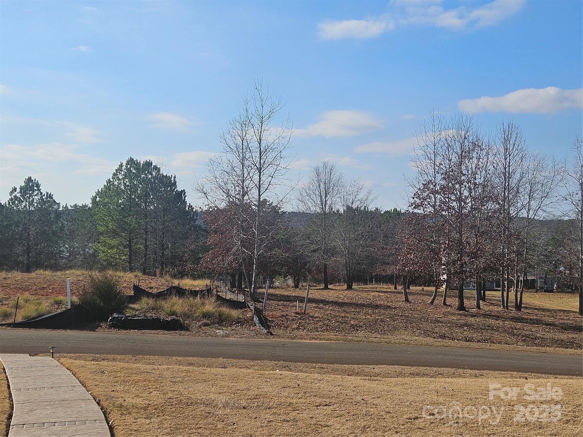 11249 Island View Lane Lancaster, SC 29720 - Photo 2 of 3 a view of a town with mountains