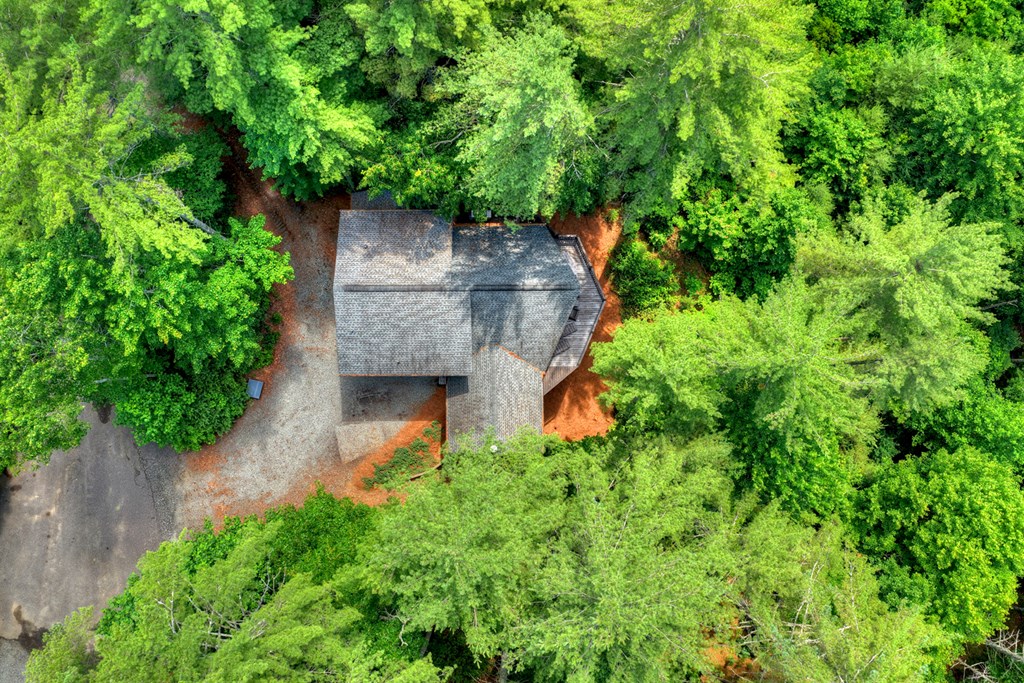 255 Indian Ridge Road Epworth, GA 30541 - Photo 63 of 65