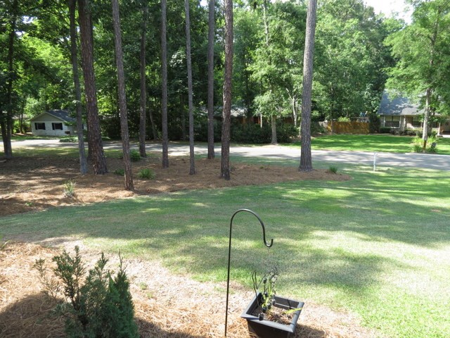 3427 Rosemont Ridge Road Tallahassee, FL 32312 - Photo 8 of 32 Gallery Image 8