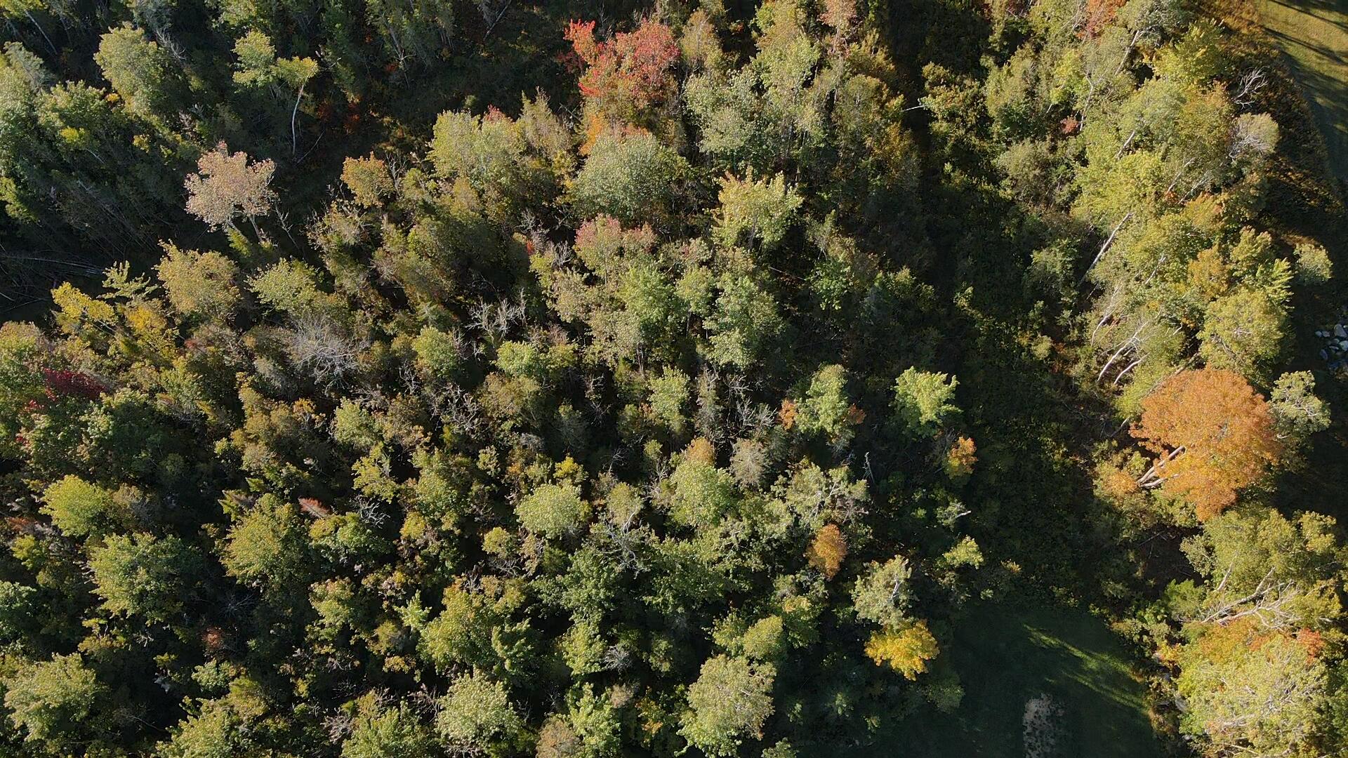 Lot 81 Fuller Road Hermon, ME 04401 - Photo 3 of 11 2025-09-20-07-59-45-075