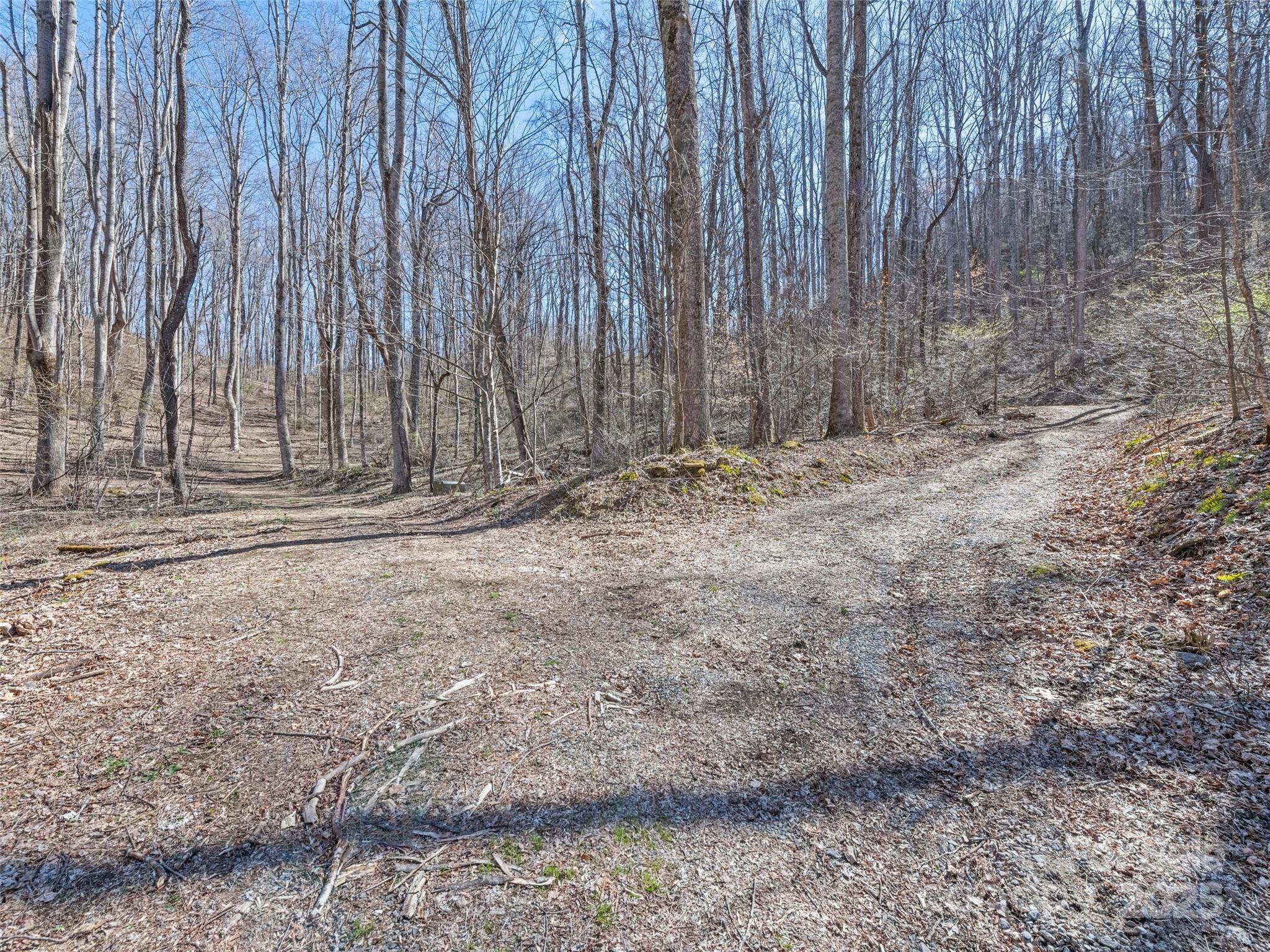 0 Wildcat Mountain Road Waynesville, NC 28786 - Photo 17 of 30 Gallery Image 17