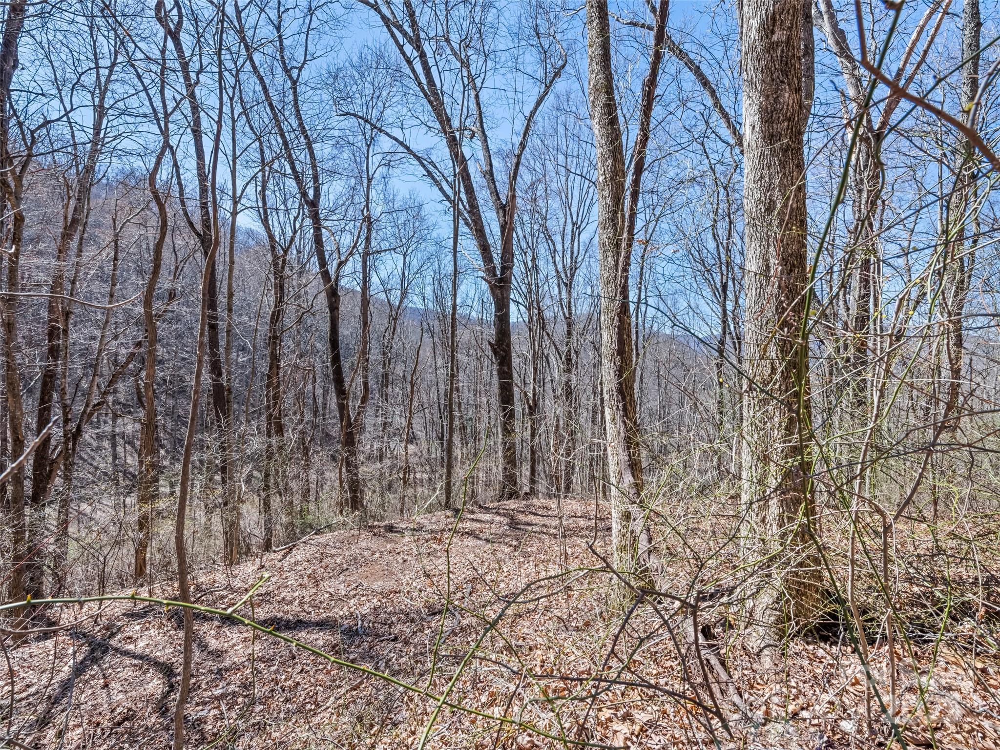 0 Wildcat Mountain Road Waynesville, NC 28786 - Photo 20 of 30 Gallery Image 20