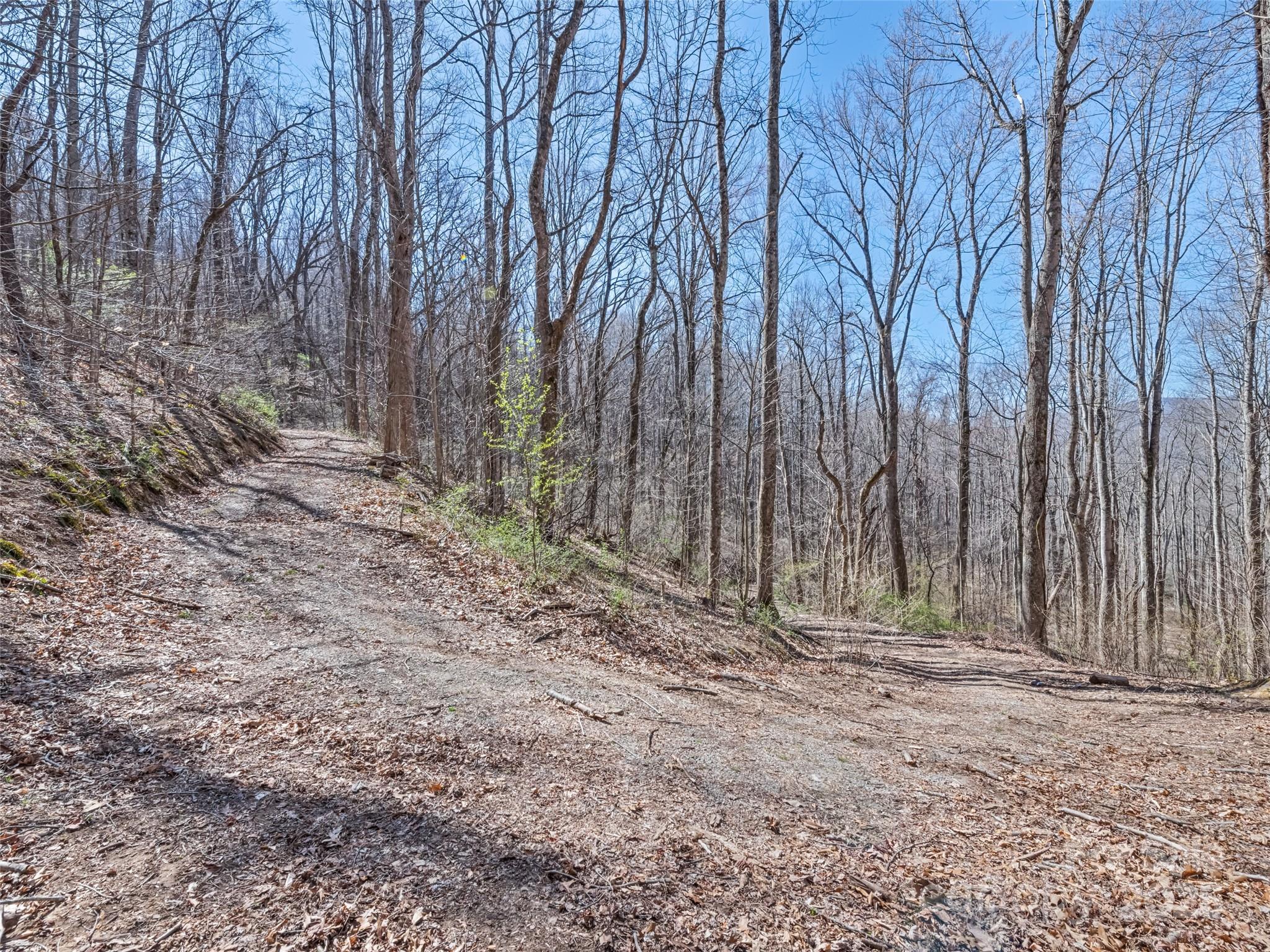 0 Wildcat Mountain Road Waynesville, NC 28786 - Photo 23 of 30 Gallery Image 23