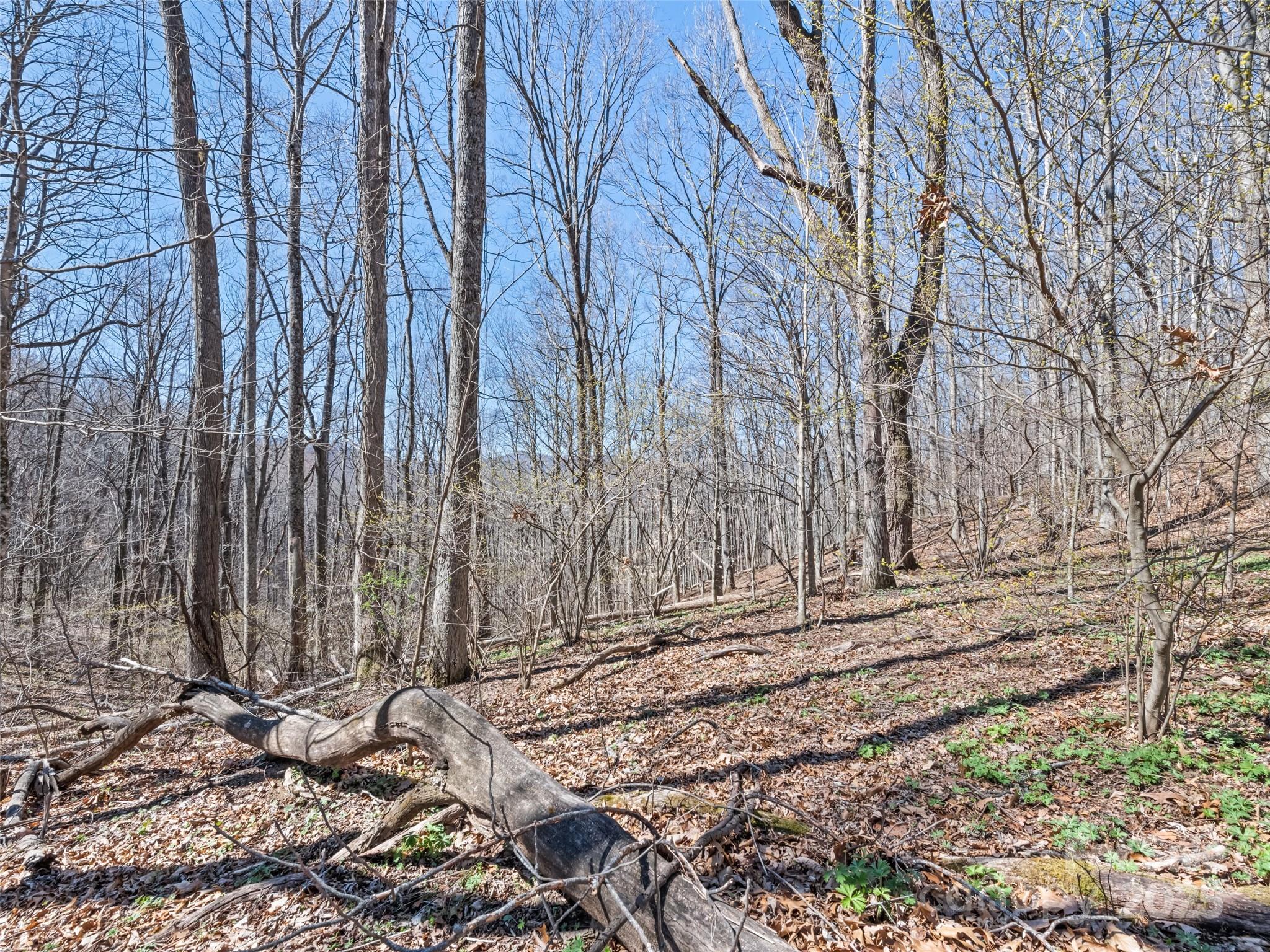 0 Wildcat Mountain Road Waynesville, NC 28786 - Photo 25 of 30 Gallery Image 25
