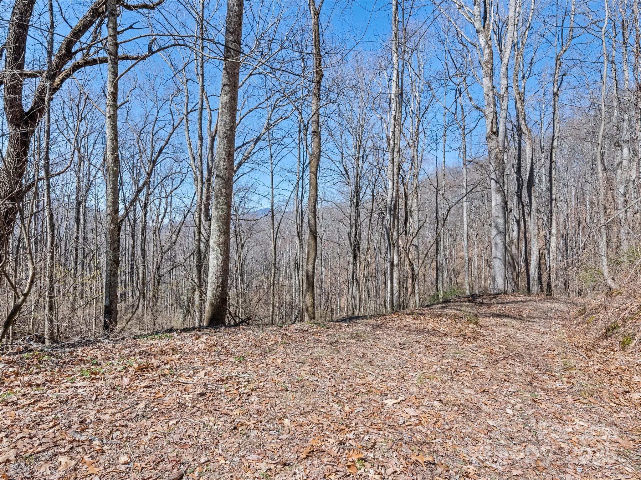 0 Wildcat Mountain Road Waynesville, NC 28786 - Photo 28 of 30 Gallery Image 28
