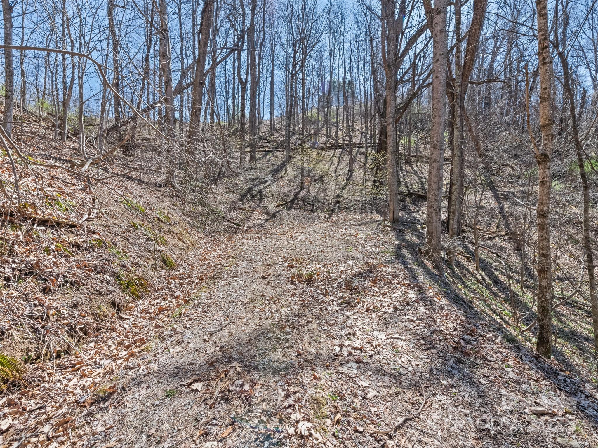 0 Wildcat Mountain Road Waynesville, NC 28786 - Photo 29 of 30 Gallery Image 29
