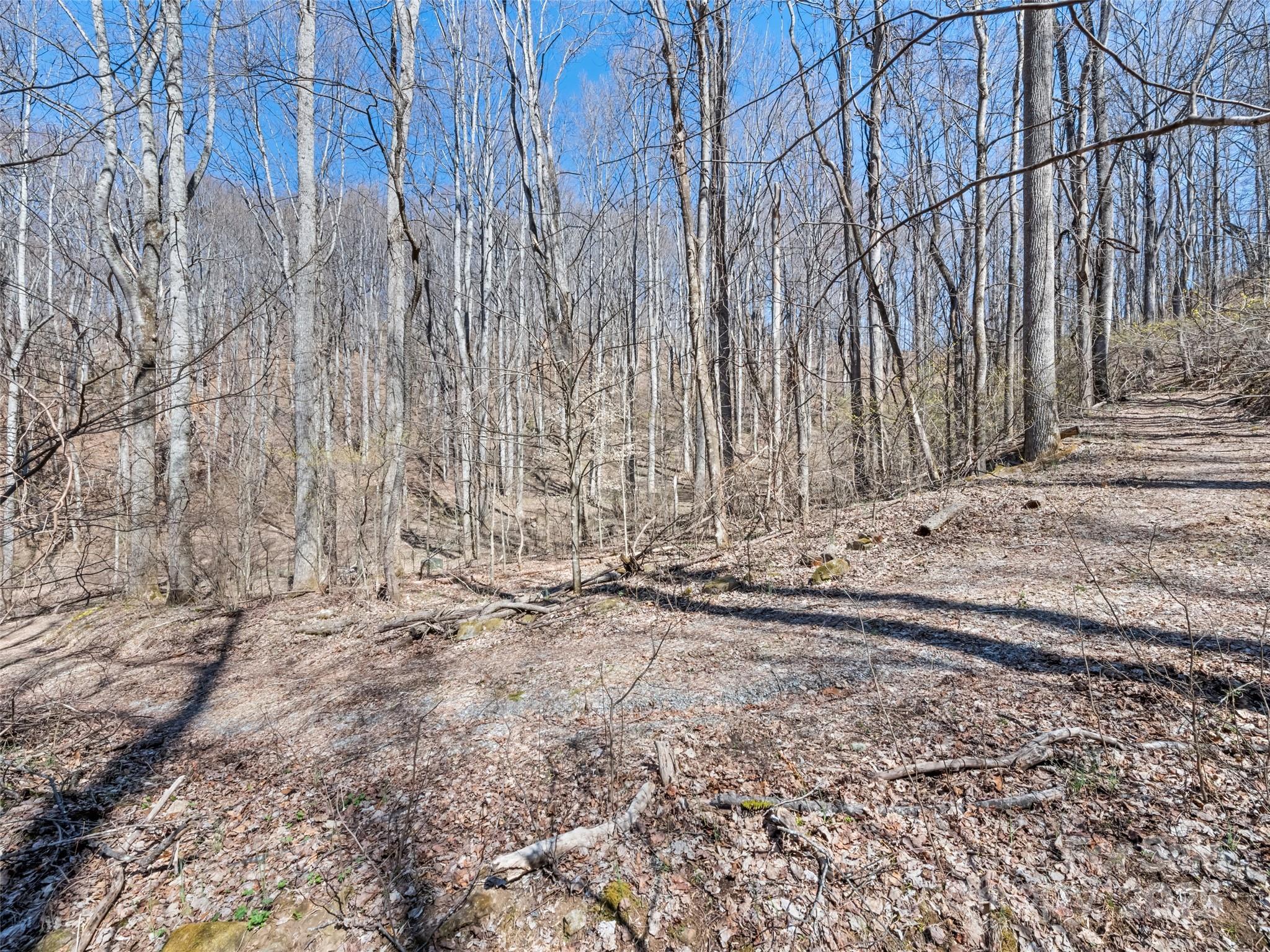 0 Wildcat Mountain Road Waynesville, NC 28786 - Photo 30 of 30 Gallery Image 30