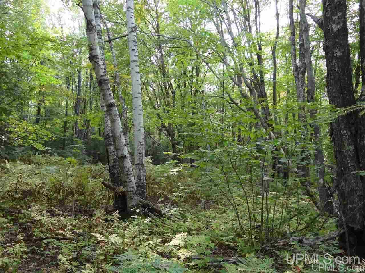 Tbd Freda Road, Unit PARCEL F Atlantic Mine, MI 49905 - Photo 7 of 12