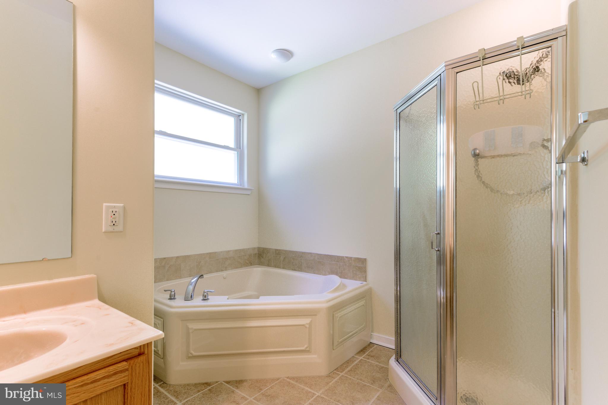 20835 Bull Pine Road Georgetown, DE 19947 - Photo 11 of 23 Master Bath