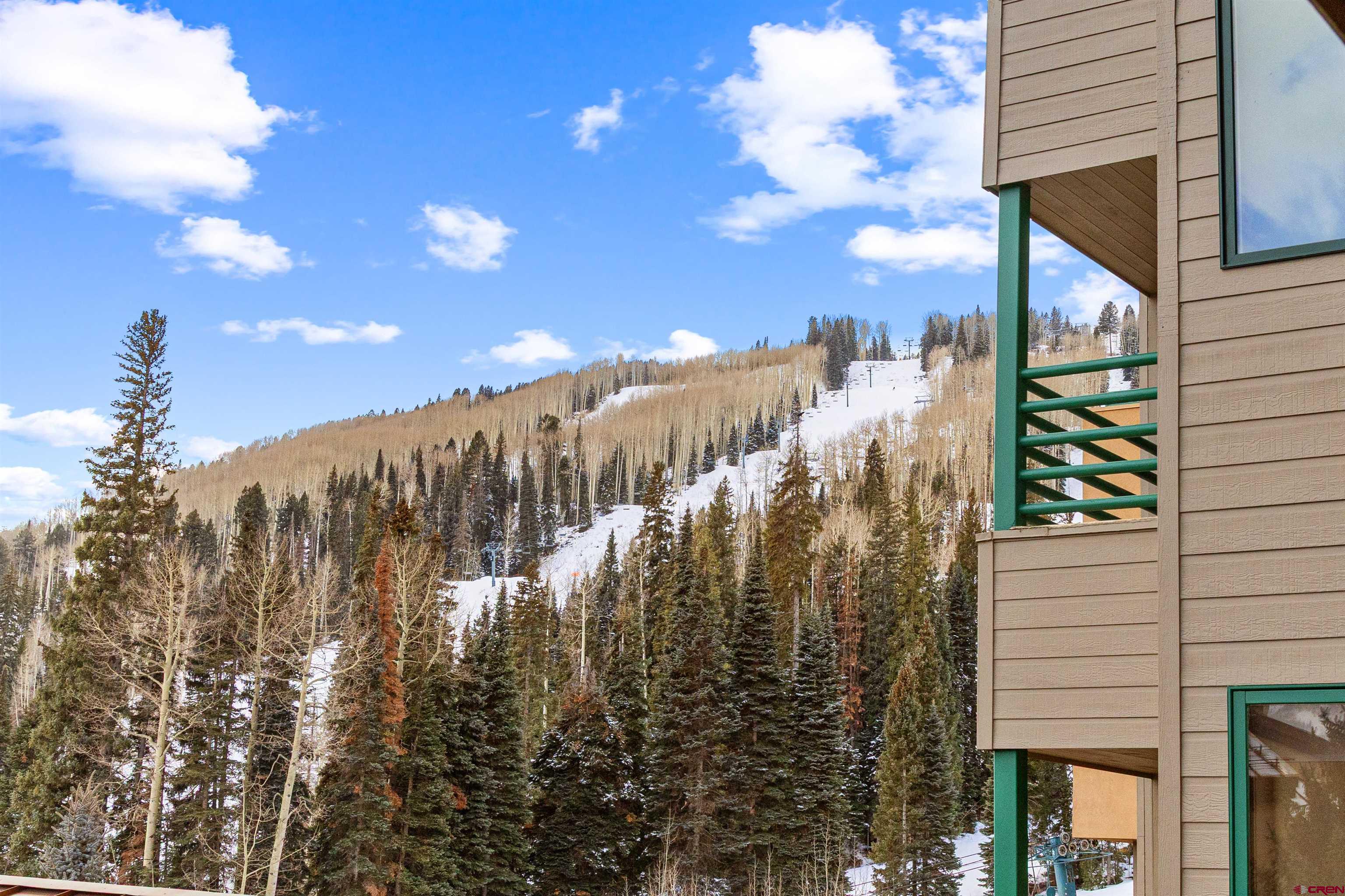 117 Needles Way, Unit 423 Durango, CO 81301 - Photo 25 of 37