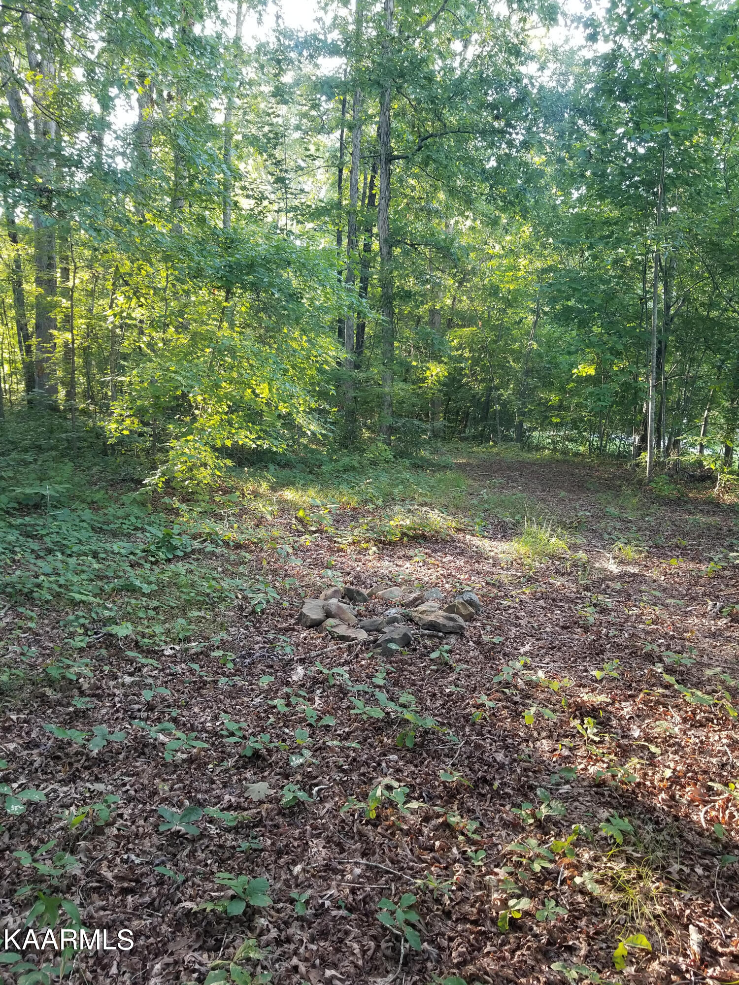 146 Helton Vojtkofsky Road Ten Mile, TN 37880 - Photo 1 of 8 1