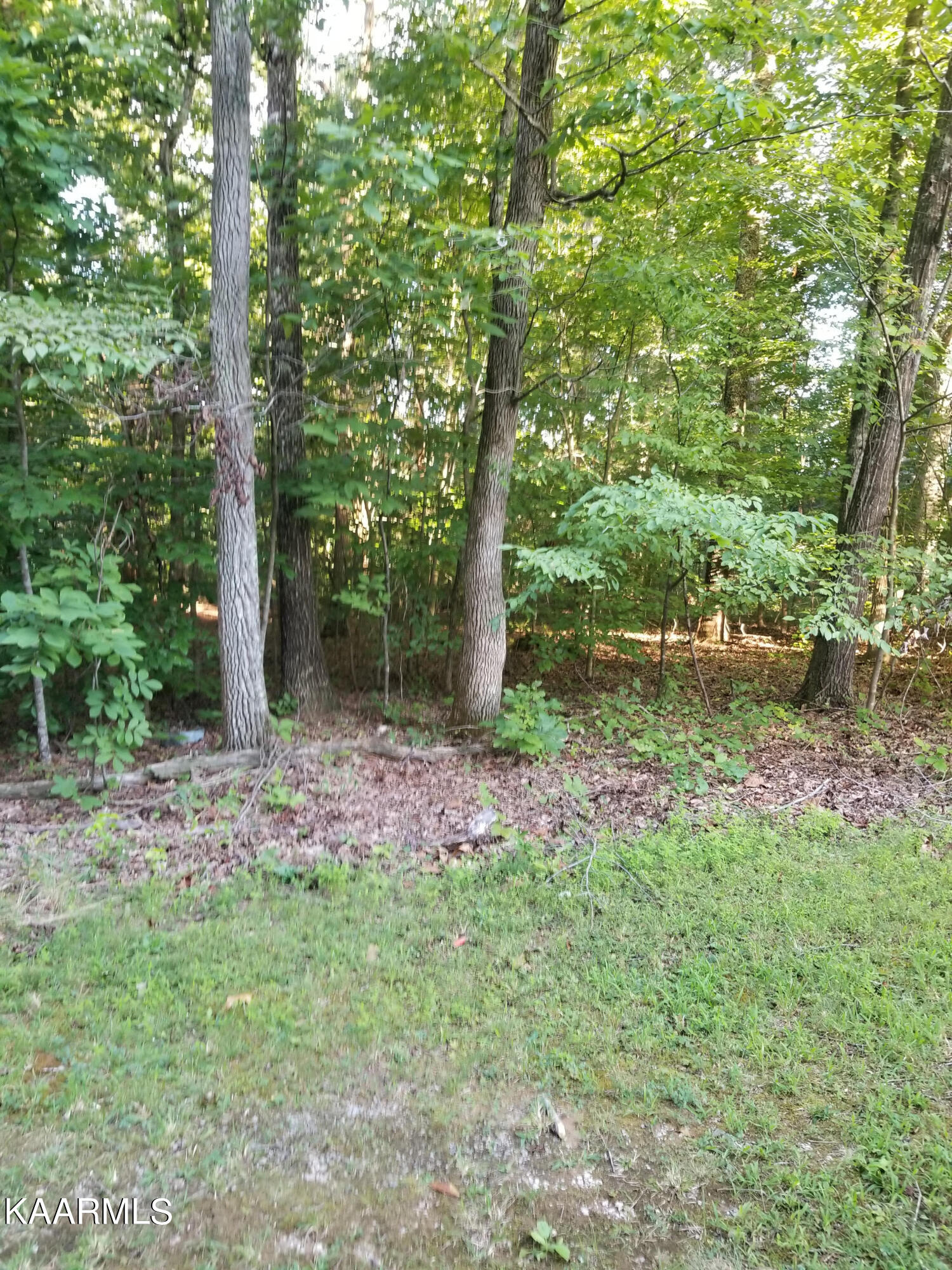 146 Helton Vojtkofsky Road Ten Mile, TN 37880 - Photo 8 of 8 8