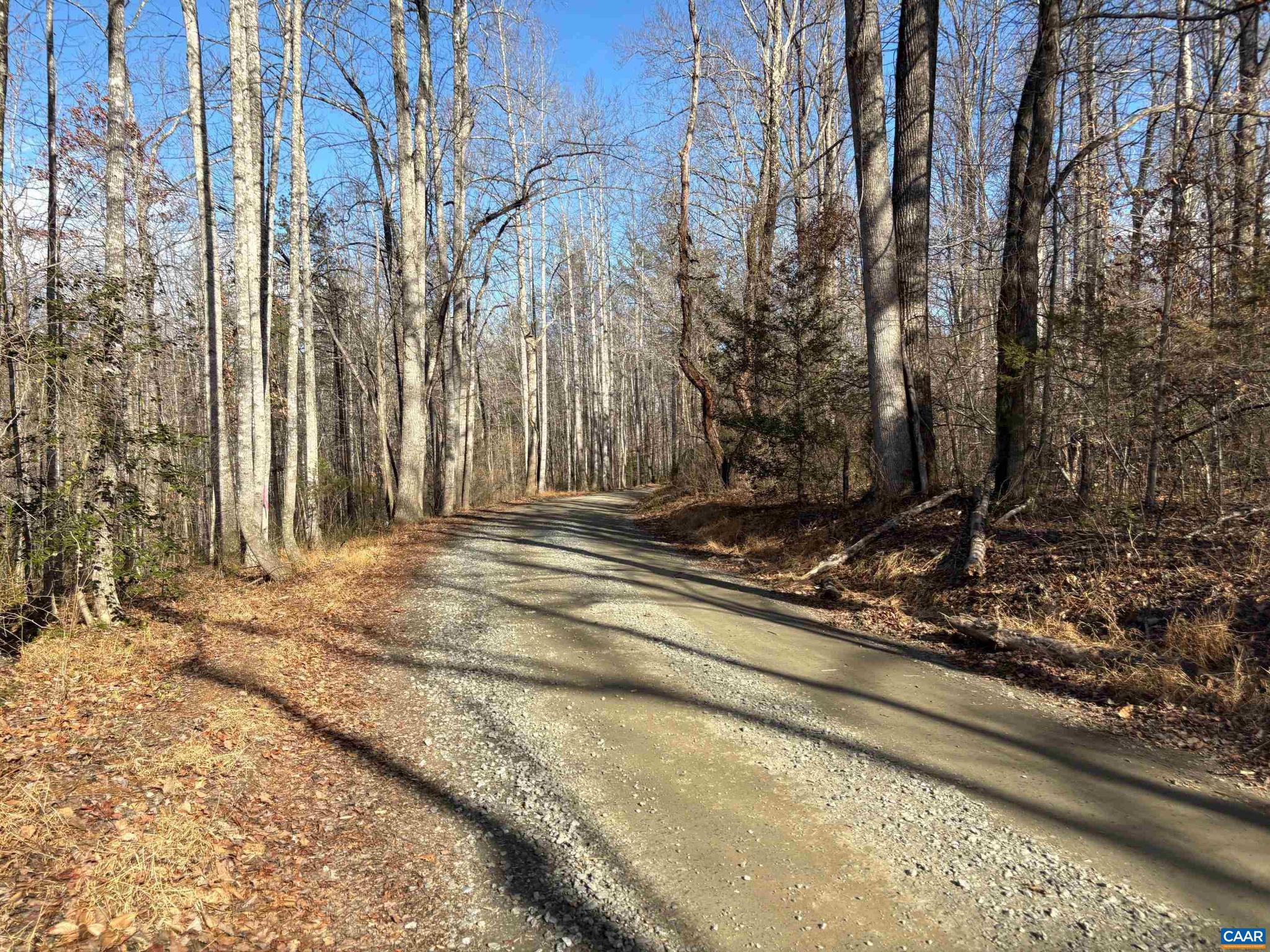 23-5a Mitchell Mountain Road, Unit 5A Reva, VA 22735 - Photo 12 of 16