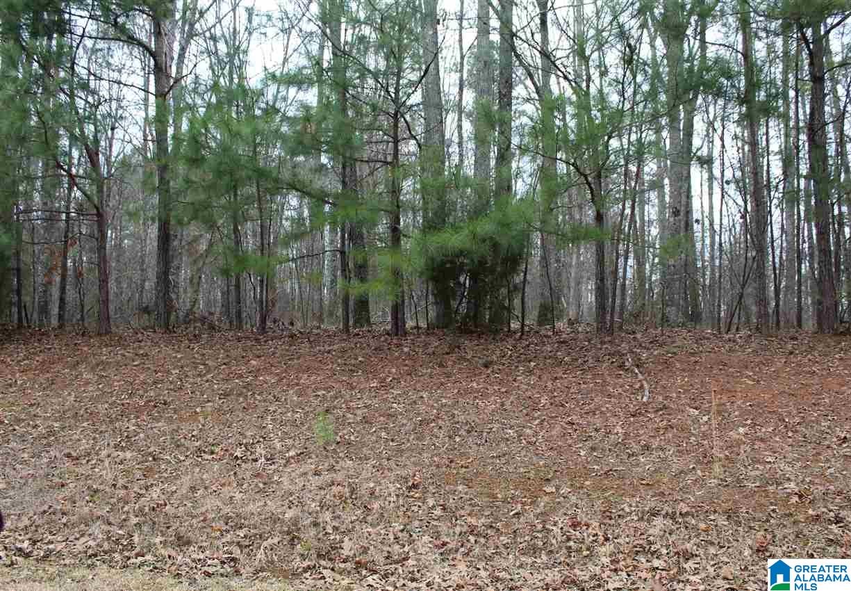 146 Forest Ridge Drive, Unit 19A Jacksonville, AL 36265 - Photo 5 of 6