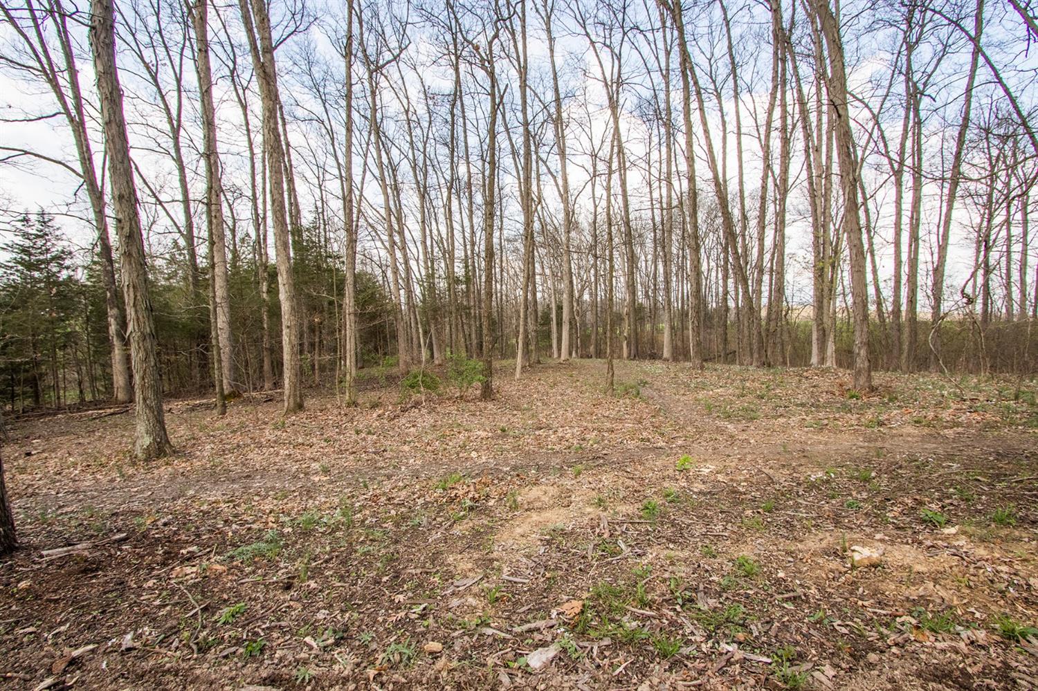 26961 Mosmeier Road Sunman, IN 47041 - Photo 8 of 68
