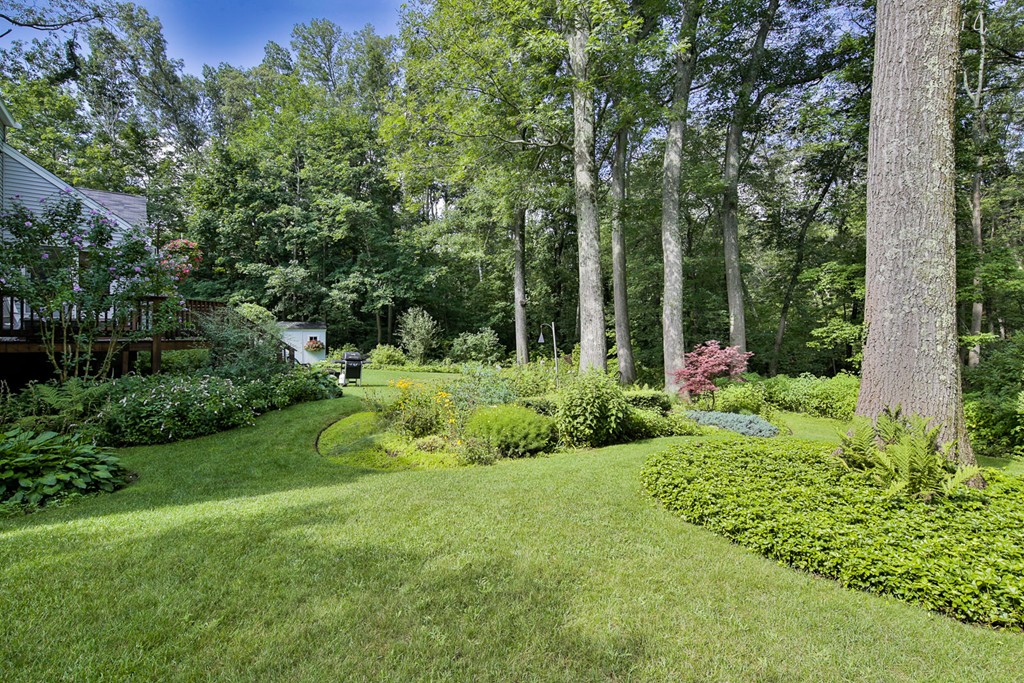 49 Porter Road Andover, MA 01810 - Photo 5 of 24 a view of a garden with plants