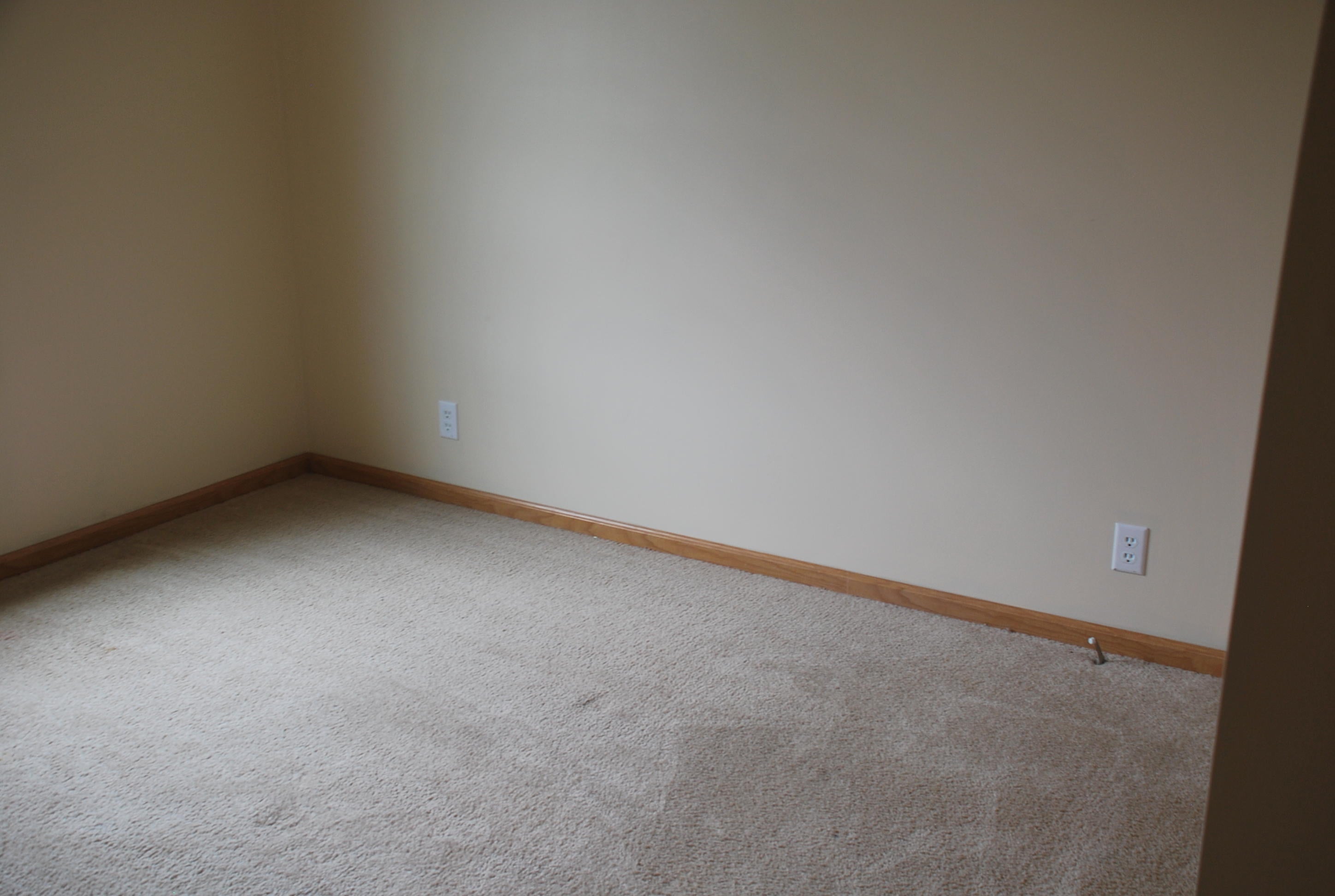 360 Sweet Springs Valley Road Gap Mills, WV 24941 - Photo 10 of 18 Gallery Image 10