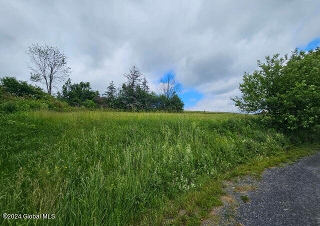 1986 Township Road Knox, NY 12053 - Photo 42 of 47 42