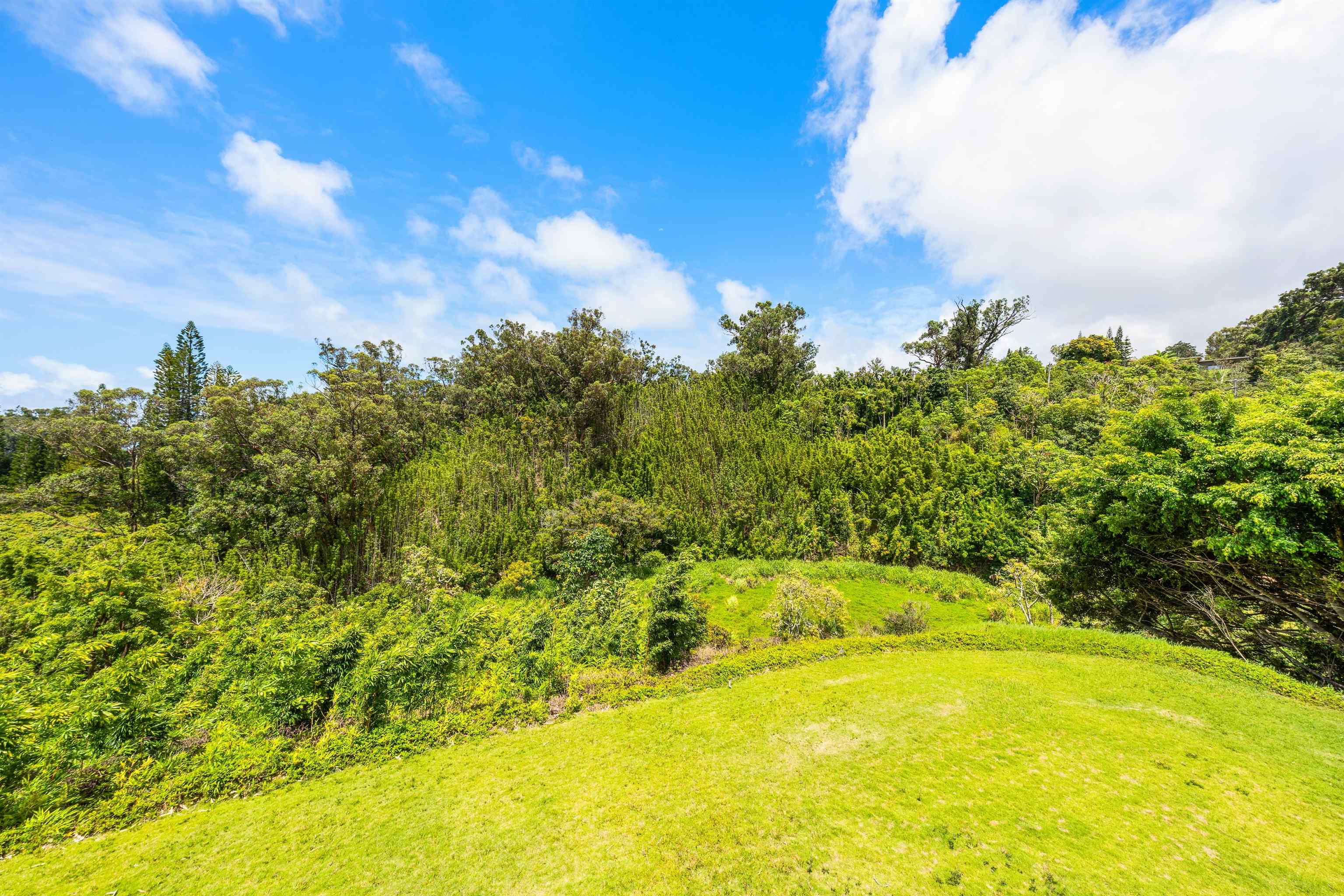 311 Awalau Road Haiku, HI 96708 - Photo 37 of 41