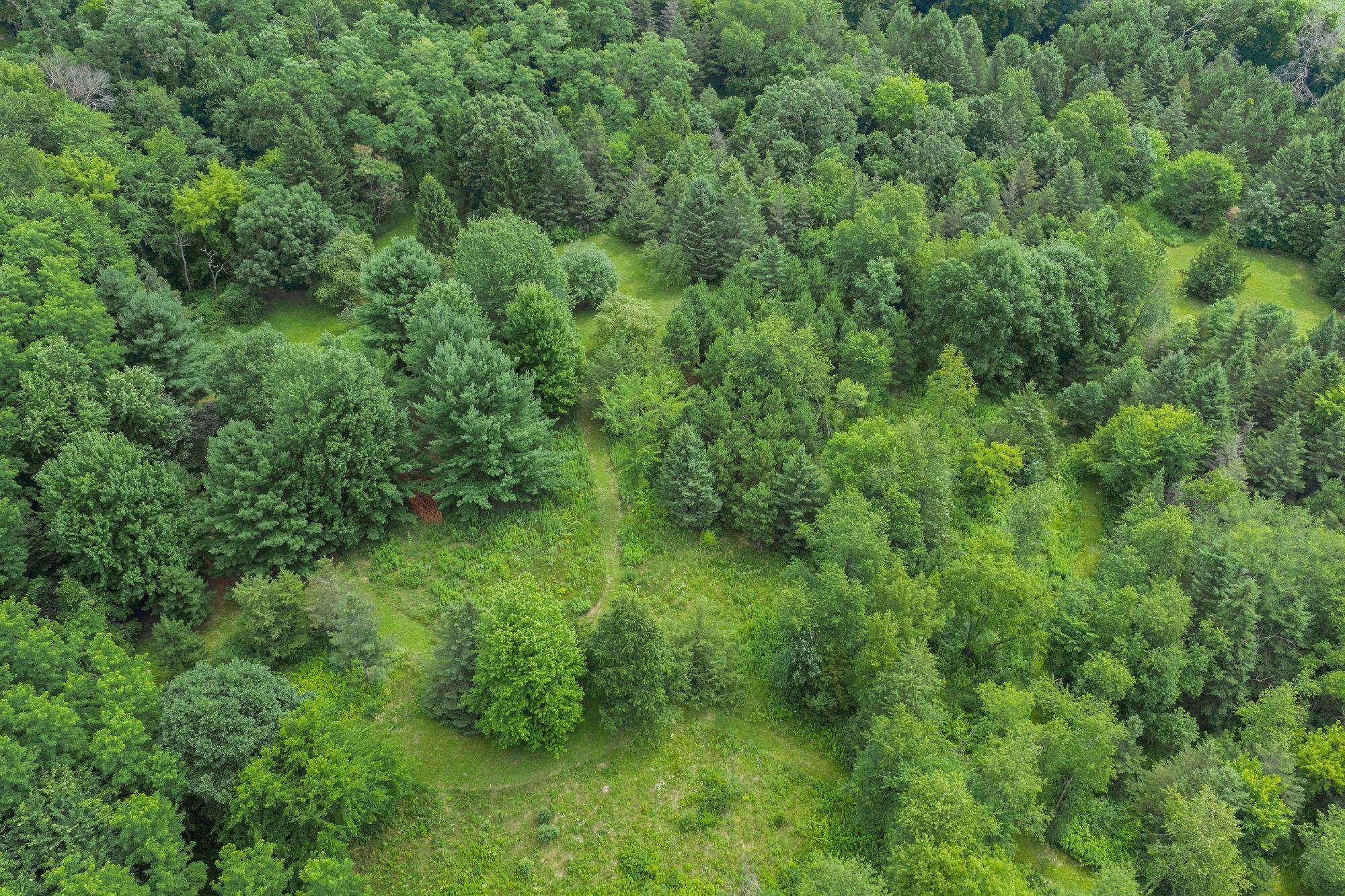N8720 County Rd CX Portage, WI 53901 - Photo 11 of 75
