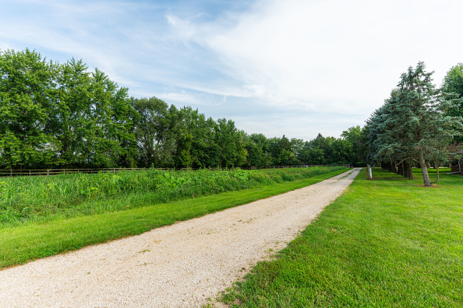 17751 Scott Road Hinckley, IL 60520 - Photo 70 of 72 a view of a park with large trees