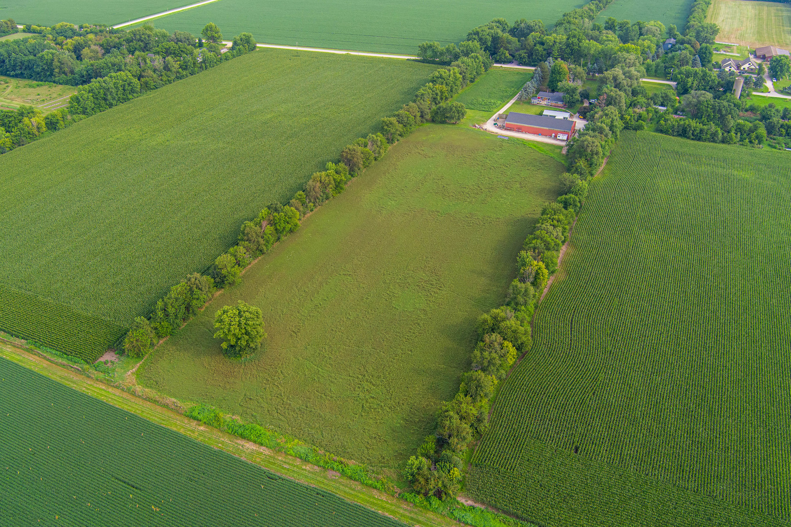 17751 Scott Road Hinckley, IL 60520 - Photo 8 of 72 a view of a lake with a yard