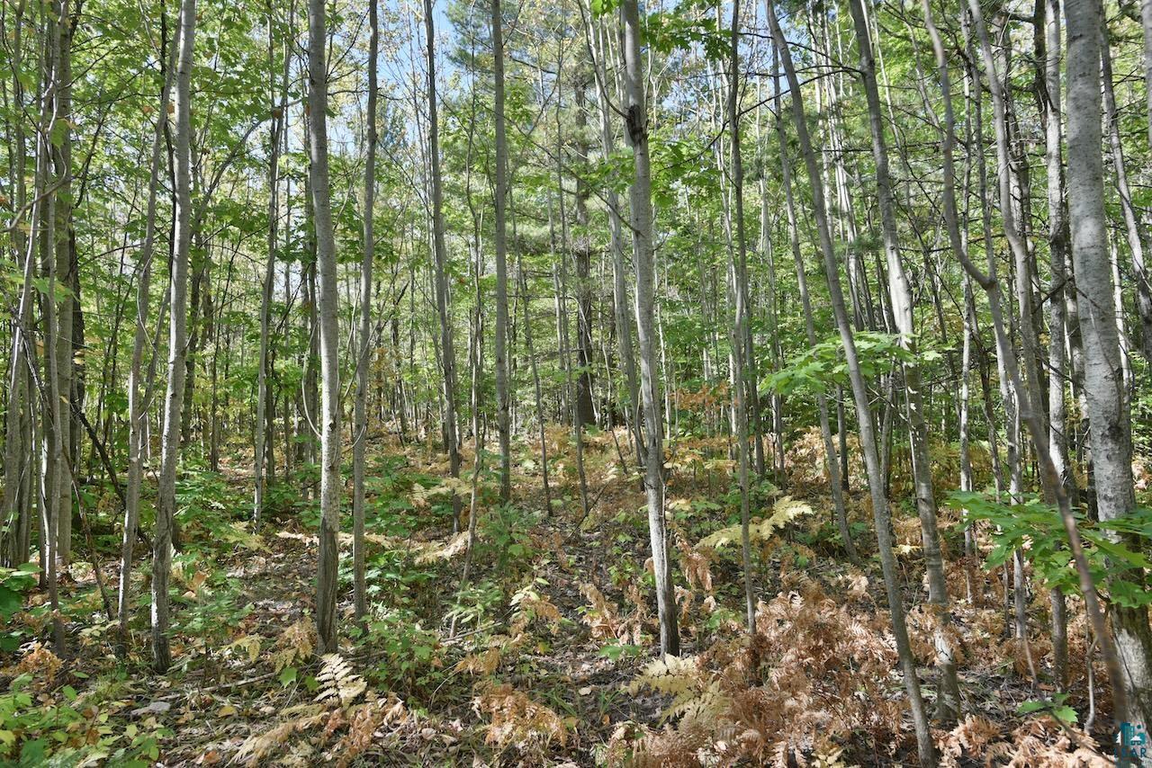 Lot 3 Mountain Road Cornucopia, WI 54827 - Photo 15 of 20 Gallery Image 15
