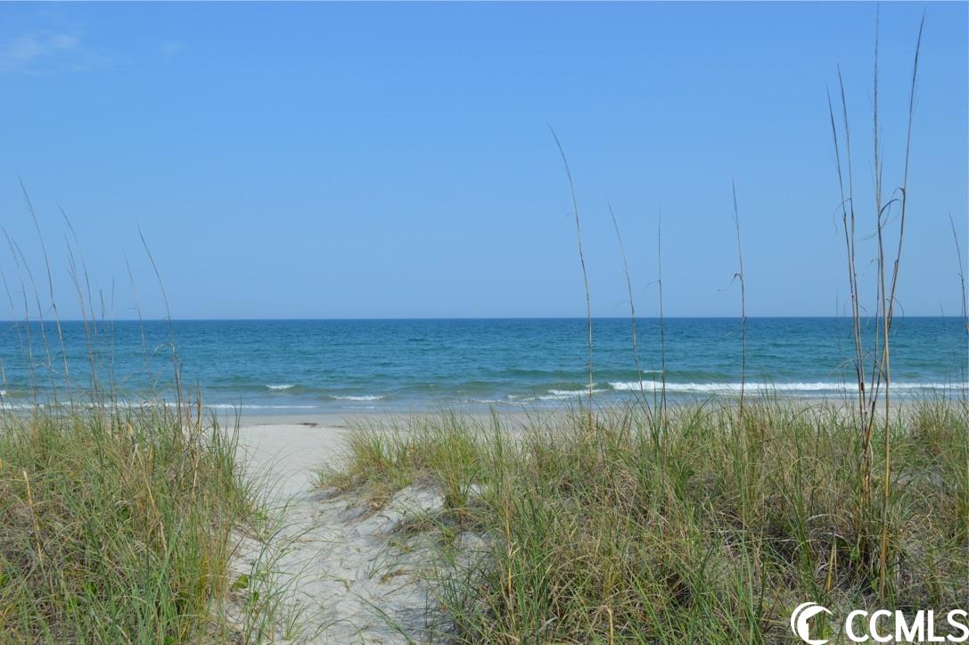 24 Hallandale Lane Murrells Inlet, SC 29576 - Photo 22 of 30