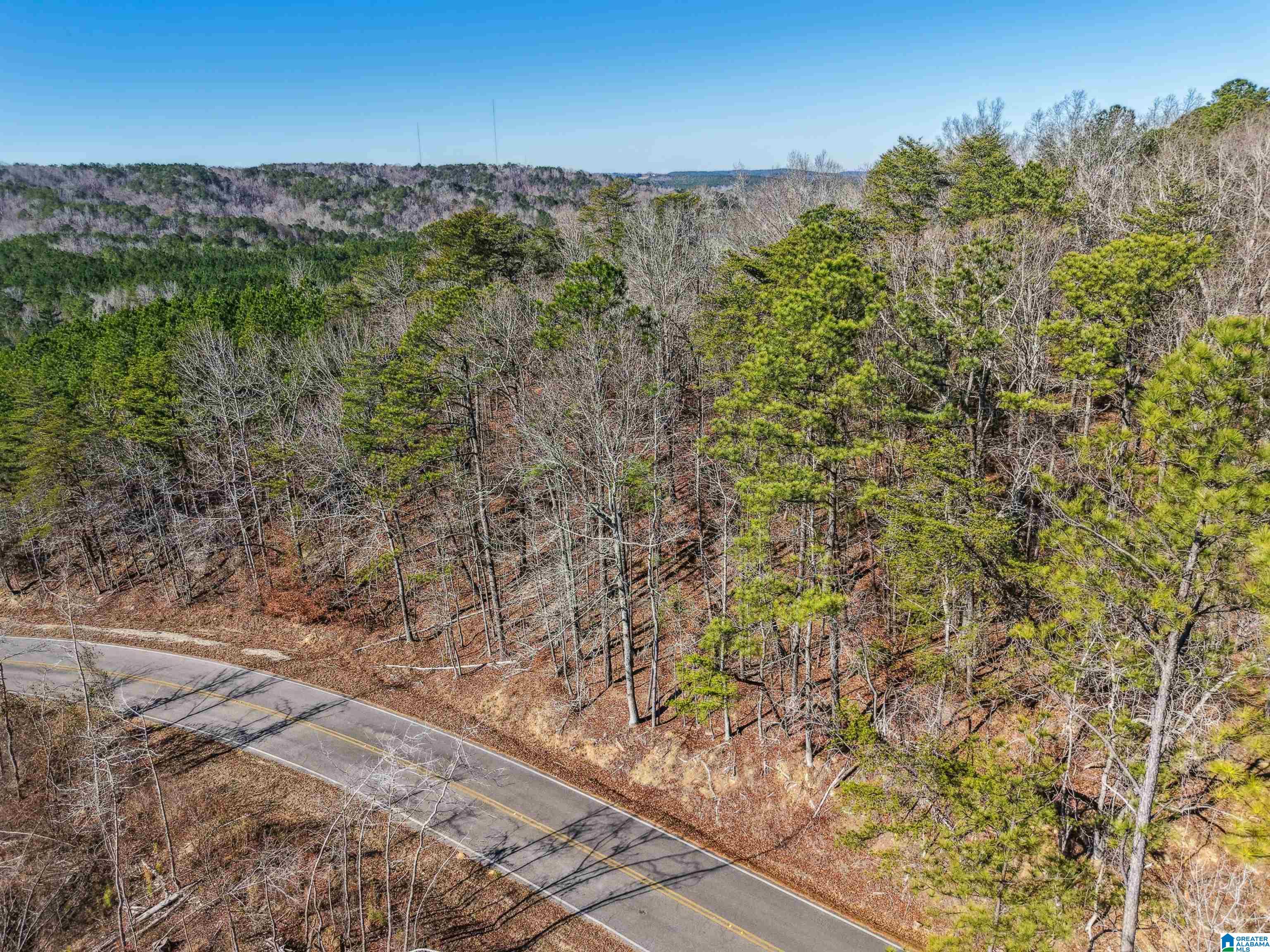 15065 Lock 17 Road, Unit 1 Adger, AL 35006 - Photo 8 of 10