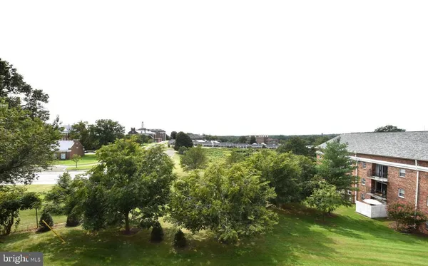 a view of a park with a slide