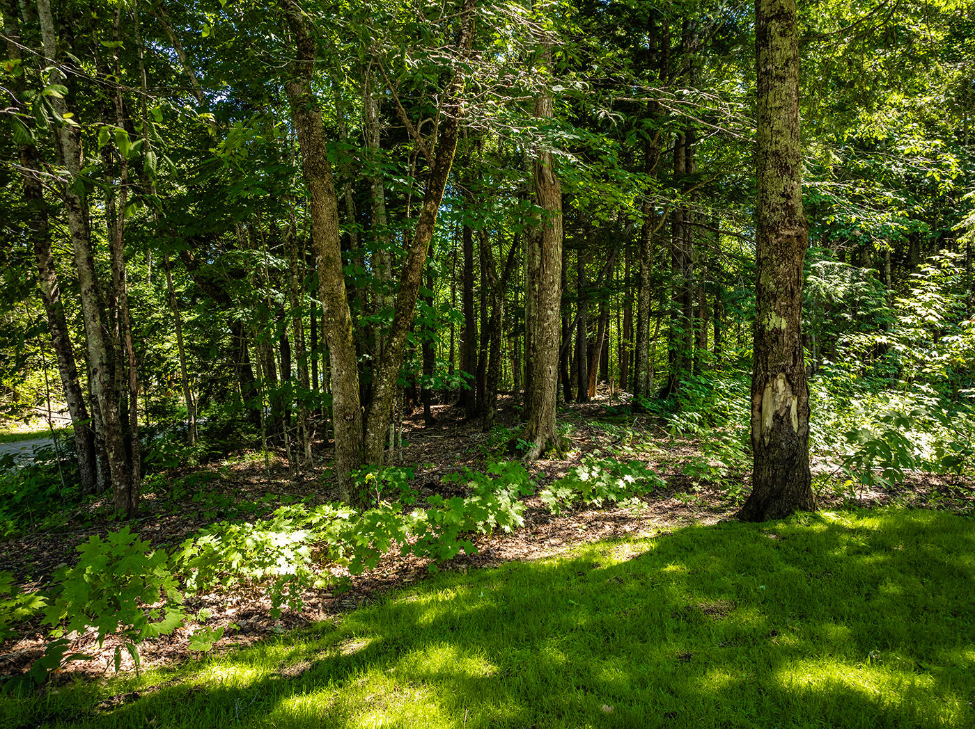 224 Augusta Road Washington, ME 04574 - Photo 27 of 34 DJI_0690