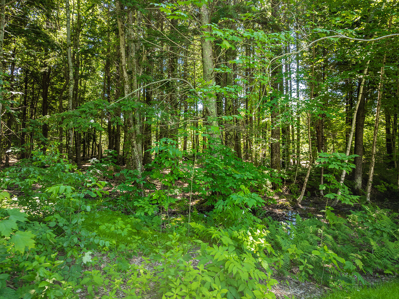 224 Augusta Road Washington, ME 04574 - Photo 30 of 34 DJI_0694