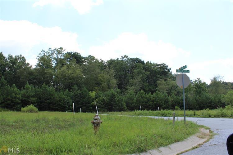 a view of field with tall trees