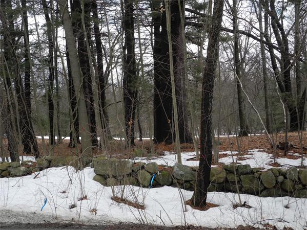 0 Great Pond Road North Andover, MA 01845 - Photo 1 of 4 Gallery Image 1