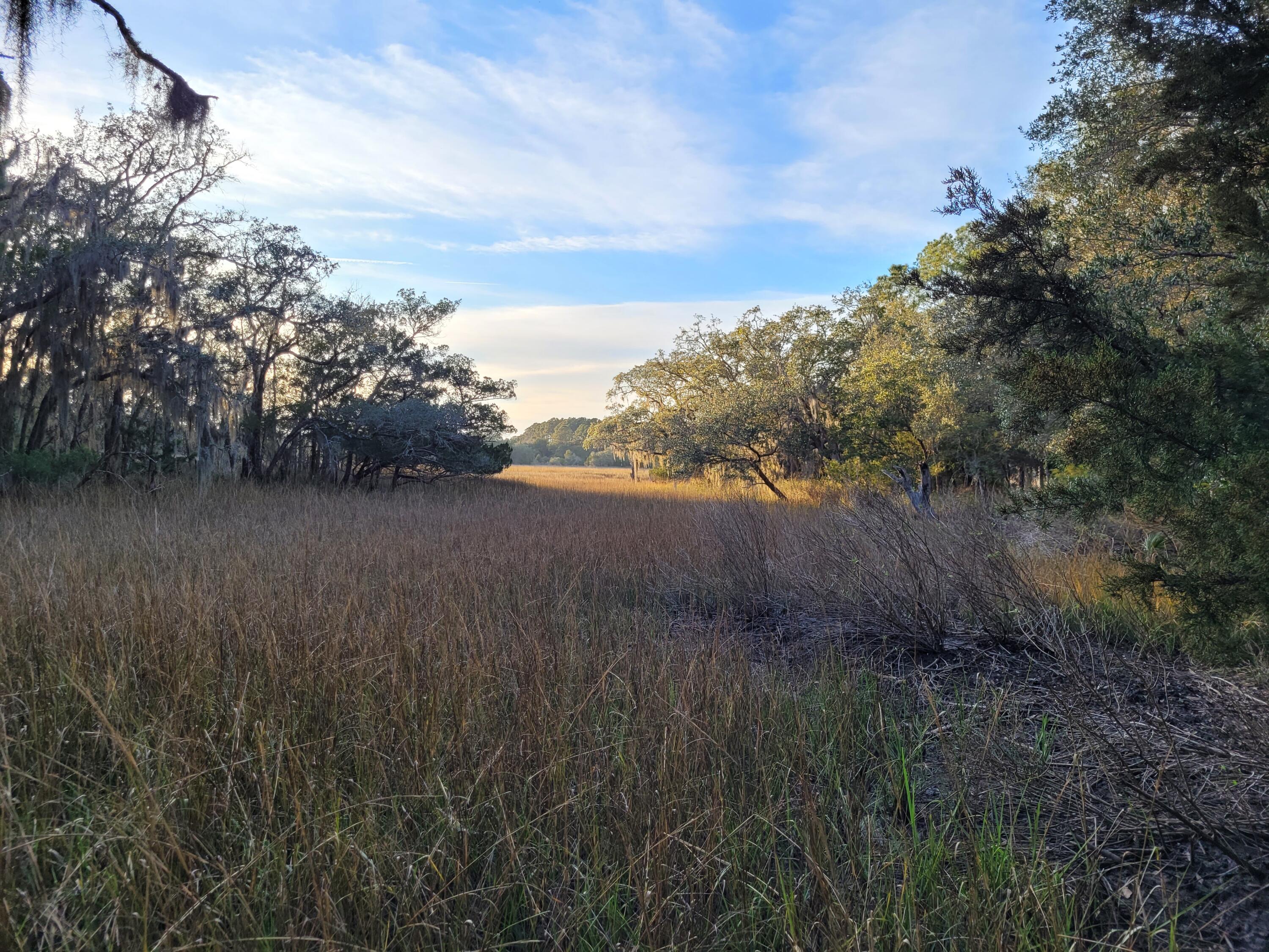 6258 Josie Ridge Road Wadmalaw Island, SC 29487 - Photo 11 of 18 20230103_165351